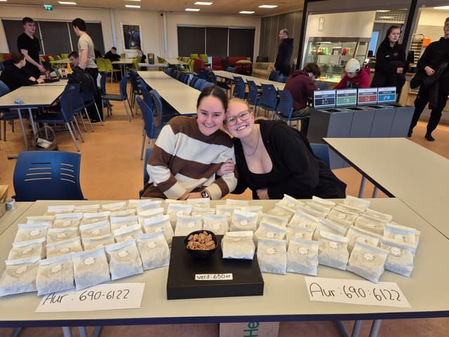 Mynd frá borgarholtsskóla